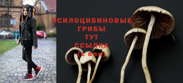 ECSTASY Нефтекумск